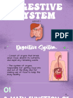 Group 2 Digestive System