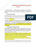 Tarea Crisis y Afectación de Los Principios - Análisis - Lucia Alexandra Bustamante Condori - D. Laboral