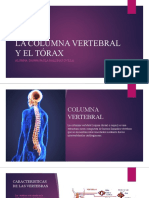 La Columna Vertebral y Torax