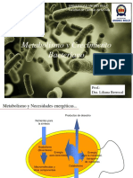 Clase 3. Metabolismo y Crecimiento de Bacterias