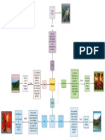 Mapa Mental Patrimonio