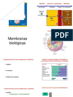 Tema 2. Membranas y Transporte