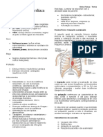 Semiologia Cardiológica Normal