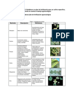 Plan Nutricional de Fresa