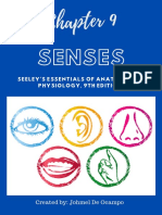 A&P Chapter 9 Senses