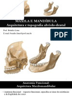 Aula 3 - Arquitetura e Topografia