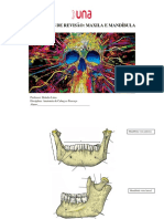 Apostila Maxila e Mandíbula
