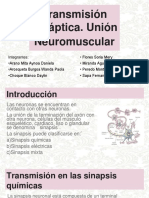 3.4 Transmisión Sináptica y Unión Neuromuscular