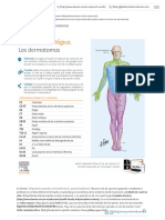 Anatomía Clínica. Los Dermatomas