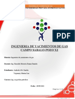 Trabajo Final Ing. Yacimientos