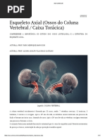 Esqueleto Axial Ossos Do Coluna Vertebral Caixa Torácica