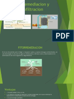 Fitorremediacion y Biofiltracion