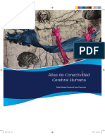 Atlas de Conectividad Cerebral Humana