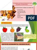 Secado de Frutas y Verduras Con Energía Solar