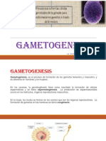 GAMETOGENESIS