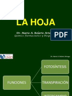 La Hoja