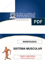 Guia de Estudio de Generalidades Del Sistema Muscular