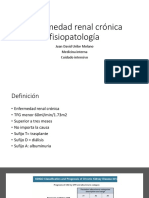 Enfermedad Renal Crónica