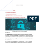 Ciber Seguridad