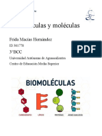 Biomoléculas