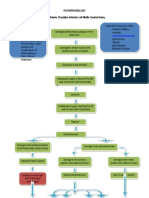 Pathophysiology Total Anterior Circulation Infarction Left Middle Cerebral Artery (TACILMCA)