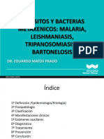 Clase 4 Infecciones Metaxenicas UPNW 2021