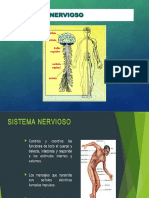  Anatomia y Fisiologia