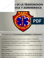 Transmision Colinergica y Adrenergica