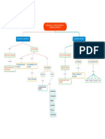 Mapa Conceptual