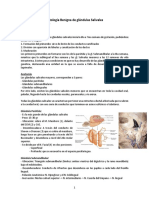 Patología Benigna de Glándulas Salivales