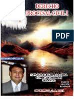 01-DPC Ii Libro