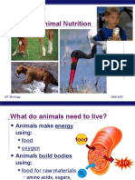 AP Bio Digestion System (Kfogler)