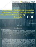 Morfología y Fisiología de Los Agentes Causantes de Daños y Enfermedades en Los Agroecosistemas en Su Reproducción y Desarrollo