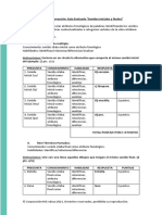 Pauta de Corrección Prueba TEL 