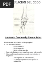 Anatomía Codo