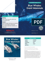 Raz lr33 Bluewhalesgiantmammals CLR