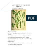 Diferencia de Gramineas y Leguminosas Forrajeras