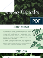 Jardines Tropicales