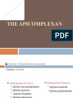 Apicomplexa