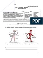 Guia 2 Cuarto Basico Segundo Semestre Ciencias