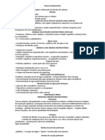 Sistema Respiratório e Circulatório