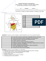 Avaliação 2 Sistema Digestório e Nutrientes.