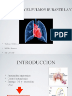 Interaccion Corazon Pulmon VM