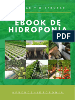 Ebook de Hidroponia Syd