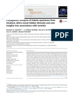 Phylogenetic Analyses of Podaxis Specimens From