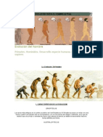 Evolución Del Hombre