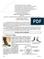 Prothese Transtibiale 2013 Si PSI