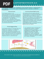 Las Lipoproteinas