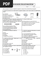 PDF Documento