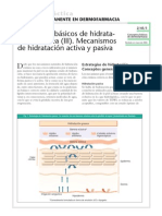 Mecanismos Hidratación de La Piel